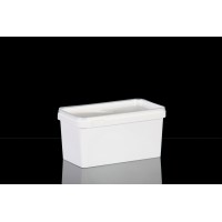 1000ml Rectangular Box / Container